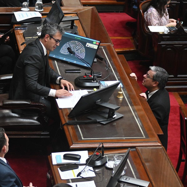 El Gobierno apuesta al tercio para sostener los vetos en Diputados, pero deberá seguir negociando leyes y el quórum