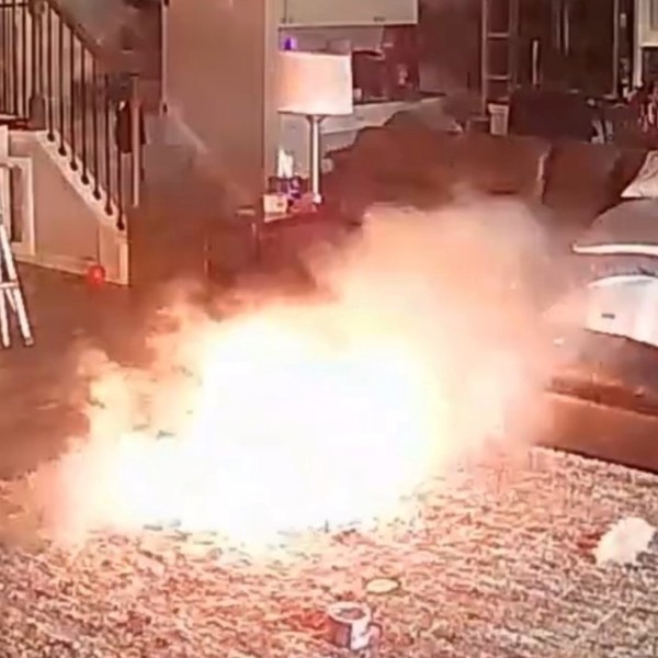 Un perro mordió una batería y provocó un incendio: todo quedó grabado