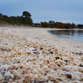 Convenció a su marido de veranear en el “Caribe bonaerense” y terminaron abriendo su propia posada frente al mar