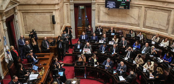 El Gobierno promulgó las leyes de emergencia pediátrica y financiamiento universitario, pero postergó su aplicación