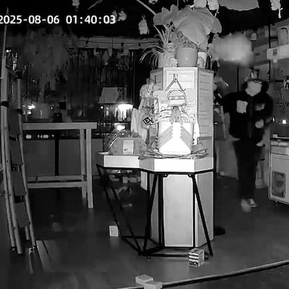 Ladrones sustraen 7.000 dólares en muñecos Labubu de una tienda de Los Ángeles