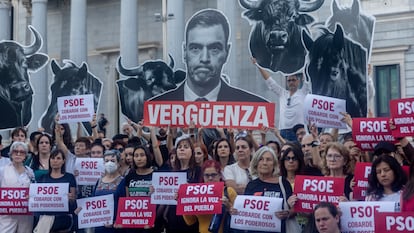 El debate sobre la tauromaquia en España, una batalla cultural y política que divide a la izquierda