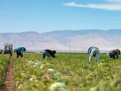 La política migratoria de Trump reduce mano de obra, retrasa proyectos y sube costos, según la Fed