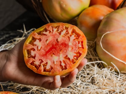 Huevo de Toro: el tomate que estuvo a punto de desaparecer y hoy se venera en Málaga