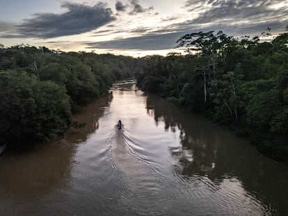 Cuidados intensivos para el planeta en la COP30