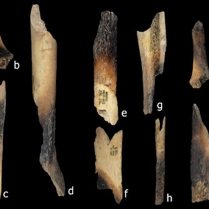 Desollados, descuartizados y comidos por las tribus rivales: hallados restos de canibalismo en Atapuerca hace 5.500 años