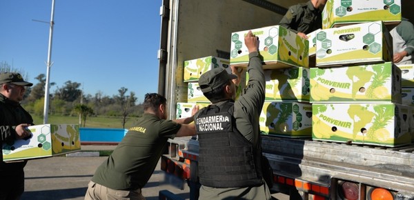 Cocaína camuflada: incautaron un cargamento narco valuado en millones de dólares