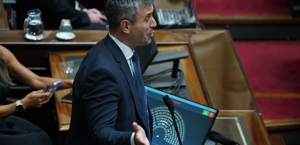 Tras mantenerla frenada en Diputados Menem mandó la ley de DNU al Senado, que insistirá con la media sanción