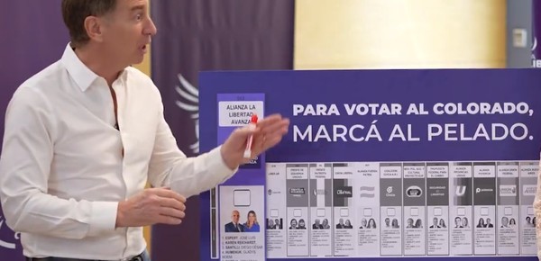 “Para votar al colorado, marcás al pelado”: el spot de La Libertad Avanza para la Provincia  sin nombrar a Espert